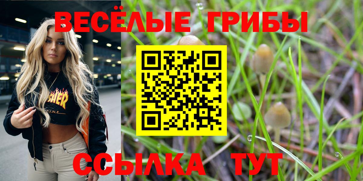 Кандалакша  цена наркотик  Вход с VPN  Псилоцибиновые грибы Cubensis  Псилоцибиновые грибы Cubensis 